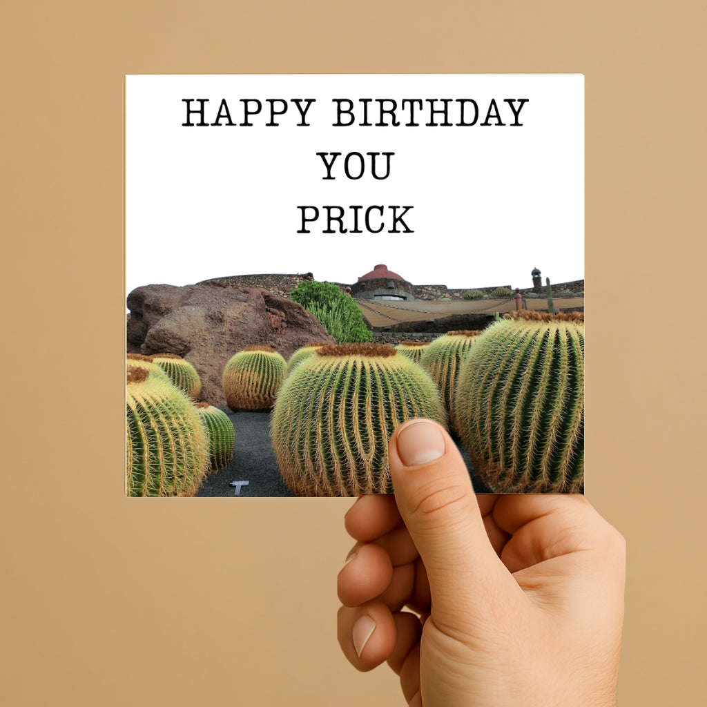 Funny Birthday Card for Him - 'Happy Birthday You Prick' - Rude & sarcastic Greeting